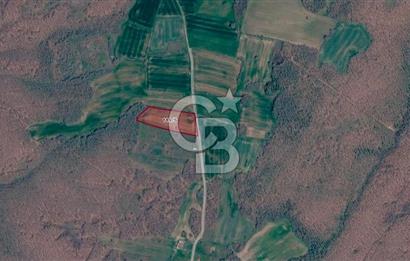 SİLİVRİ ÇAYIRDERE'DE 4.000 m² HİSSELİ TARLA | YATIRIMLIK FIRSAT