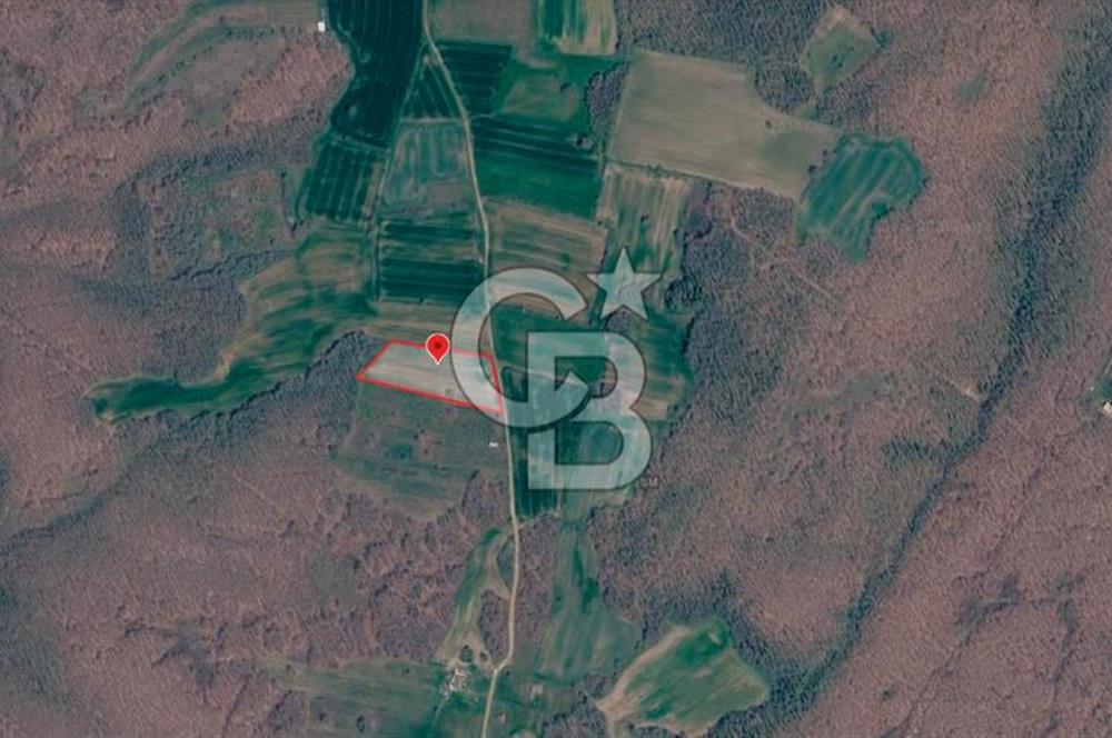 SİLİVRİ ÇAYIRDERE'DE 4.000 m² HİSSELİ TARLA | YATIRIMLIK FIRSAT