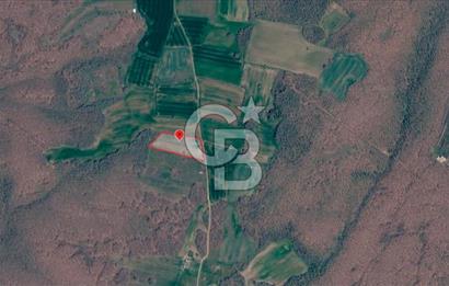 SİLİVRİ ÇAYIRDERE'DE 4.000 m² HİSSELİ TARLA | YATIRIMLIK FIRSAT