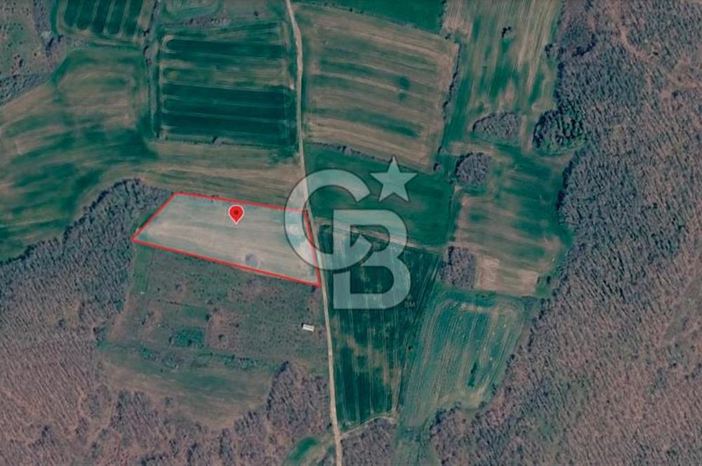 SİLİVRİ ÇAYIRDERE'DE 4.000 m² HİSSELİ TARLA | YATIRIMLIK FIRSAT