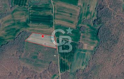 SİLİVRİ ÇAYIRDERE'DE 4.000 m² HİSSELİ TARLA | YATIRIMLIK FIRSAT