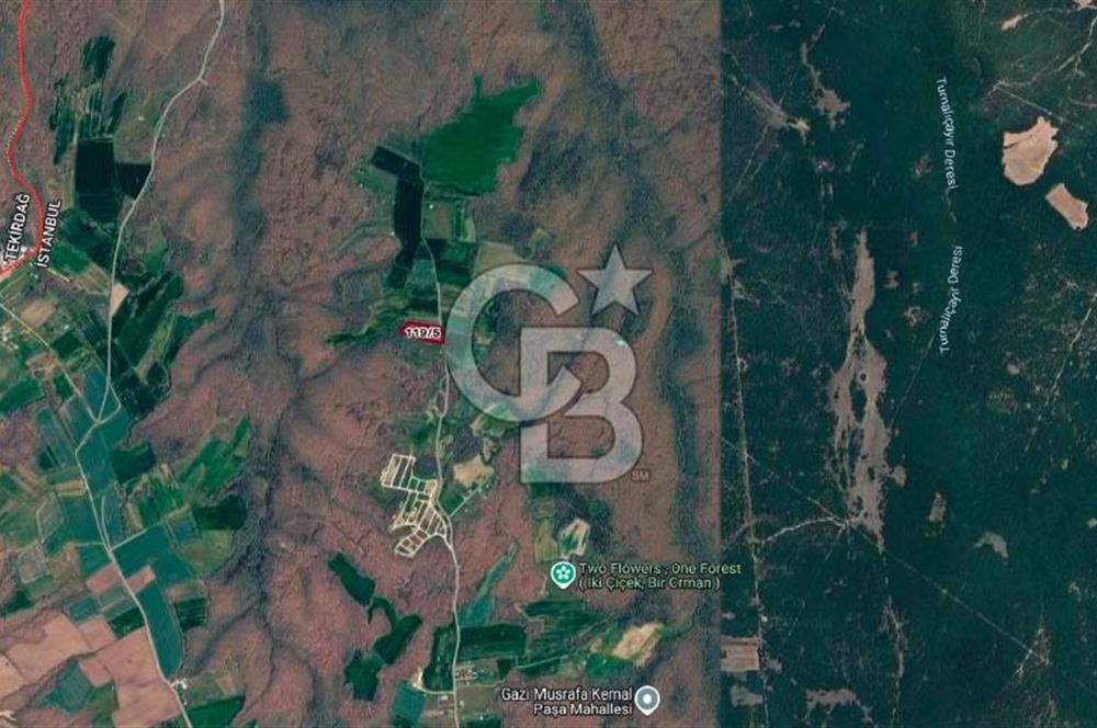 SİLİVRİ ÇAYIRDERE'DE 4.000 m² HİSSELİ TARLA | YATIRIMLIK FIRSAT