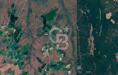 SİLİVRİ ÇAYIRDERE'DE 4.000 m² HİSSELİ TARLA | YATIRIMLIK FIRSAT