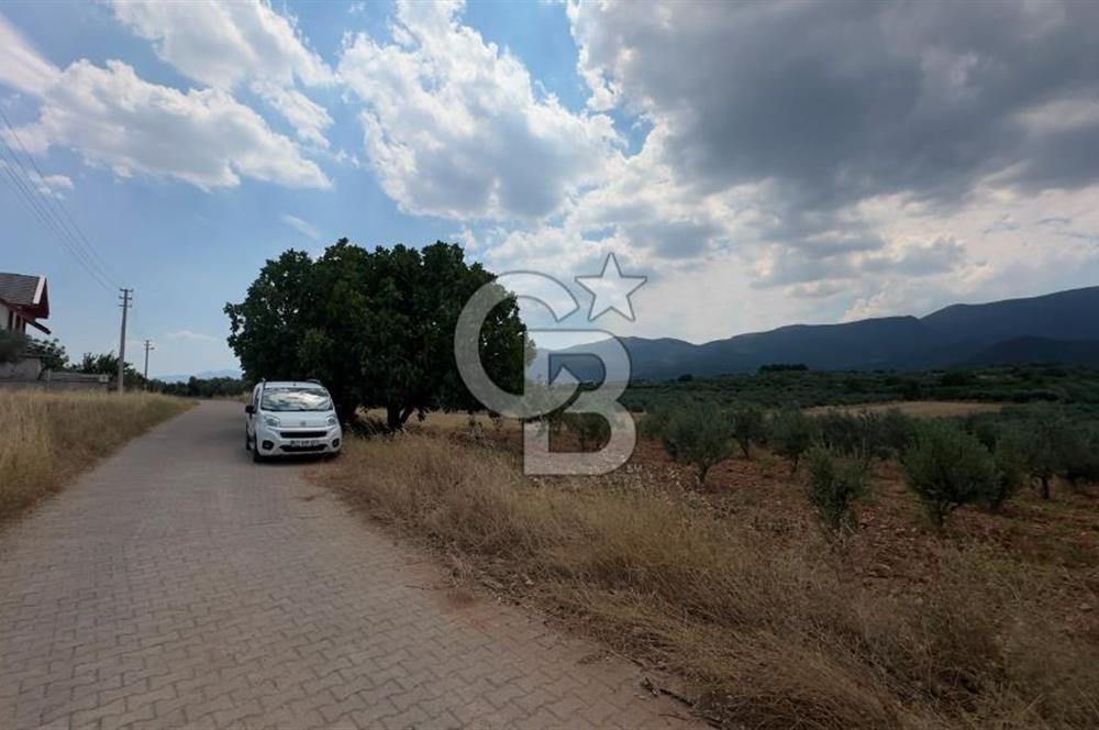 Manisa Şehzadeler Karaoğlanlı'da İmarlı Arsa