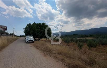 Manisa Şehzadeler Karaoğlanlı'da İmarlı Arsa