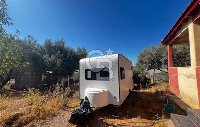 SÜTÇÜLERDE 1083 M2 İÇİNDE 120 M2 MÜSTAKİL YAPILI RIZAİ TAKSİMLİ ZEYTİNLİK 