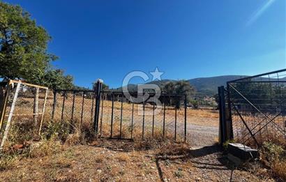 SÜTÇÜLERDE 1083 M2 İÇİNDE 120 M2 MÜSTAKİL YAPILI RIZAİ TAKSİMLİ ZEYTİNLİK 