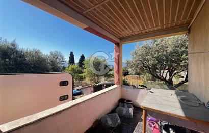 SÜTÇÜLERDE 1083 M2 İÇİNDE 120 M2 MÜSTAKİL YAPILI RIZAİ TAKSİMLİ ZEYTİNLİK 