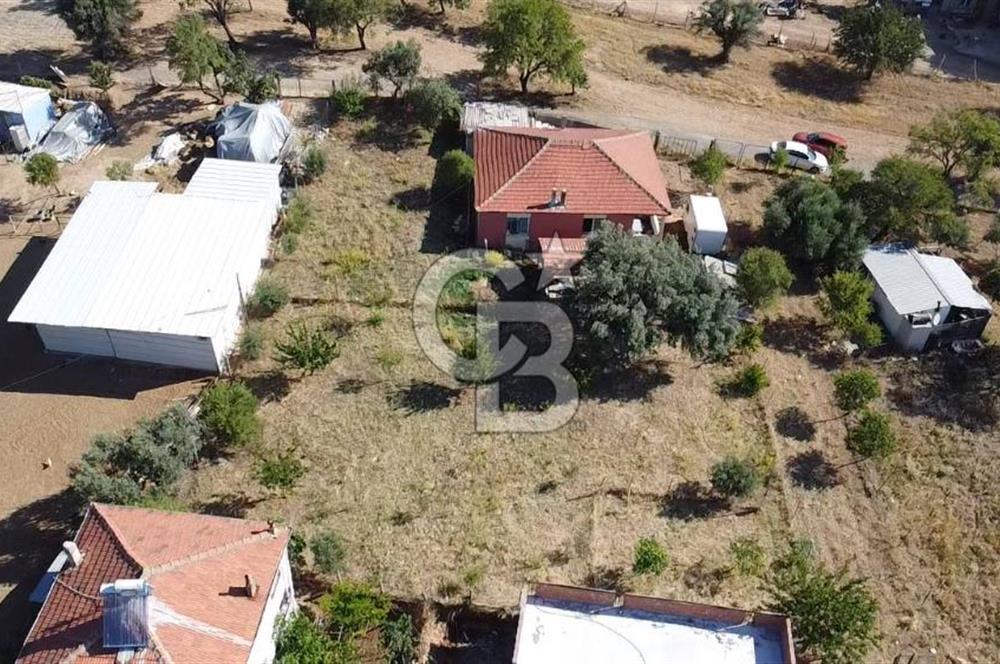 SÜTÇÜLERDE 1083 M2 İÇİNDE 120 M2 MÜSTAKİL YAPILI RIZAİ TAKSİMLİ ZEYTİNLİK 