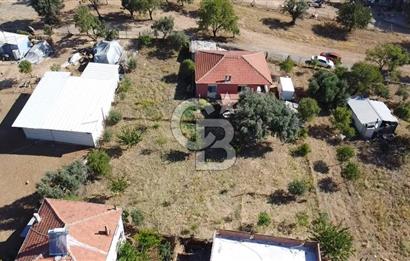 SÜTÇÜLERDE 1083 M2 İÇİNDE 120 M2 MÜSTAKİL YAPILI RIZAİ TAKSİMLİ ZEYTİNLİK 