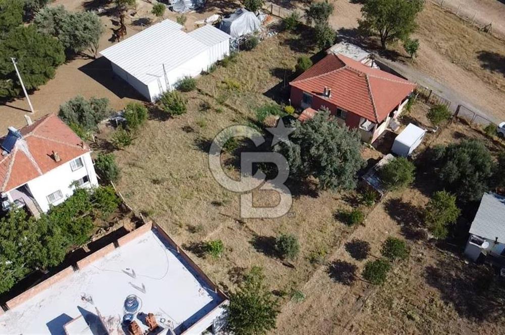 SÜTÇÜLERDE 1083 M2 İÇİNDE 120 M2 MÜSTAKİL YAPILI RIZAİ TAKSİMLİ ZEYTİNLİK 