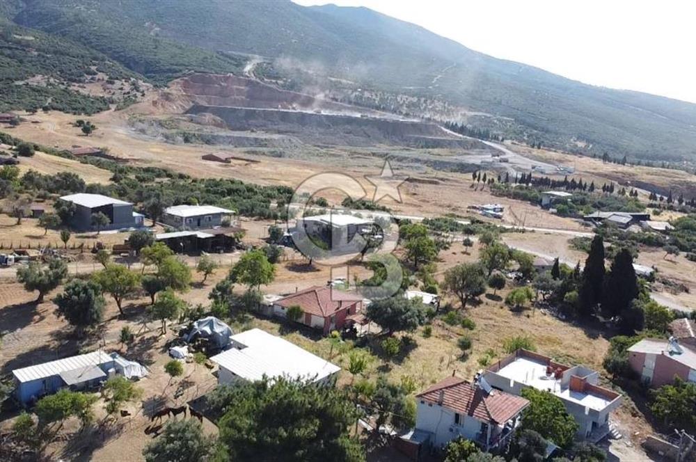 SÜTÇÜLERDE 1083 M2 İÇİNDE 120 M2 MÜSTAKİL YAPILI RIZAİ TAKSİMLİ ZEYTİNLİK 