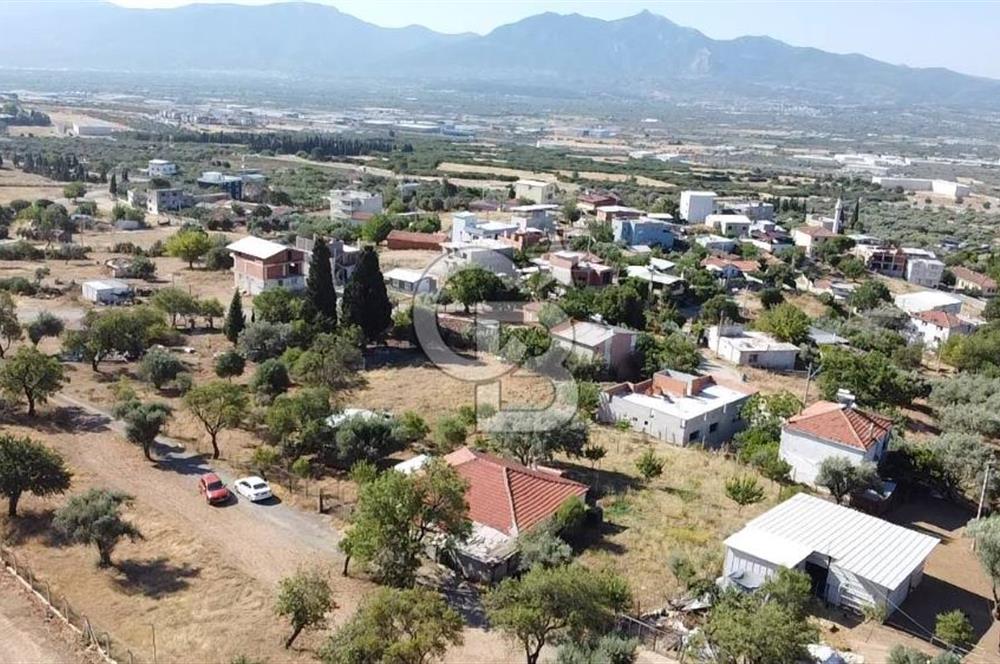 SÜTÇÜLERDE 1083 M2 İÇİNDE 120 M2 MÜSTAKİL YAPILI RIZAİ TAKSİMLİ ZEYTİNLİK 