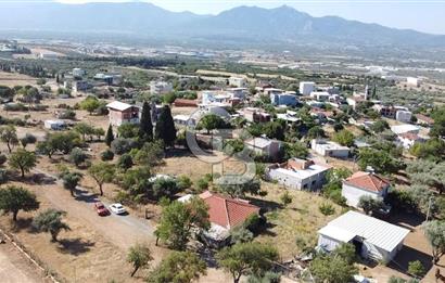 SÜTÇÜLERDE 1083 M2 İÇİNDE 120 M2 MÜSTAKİL YAPILI RIZAİ TAKSİMLİ ZEYTİNLİK 