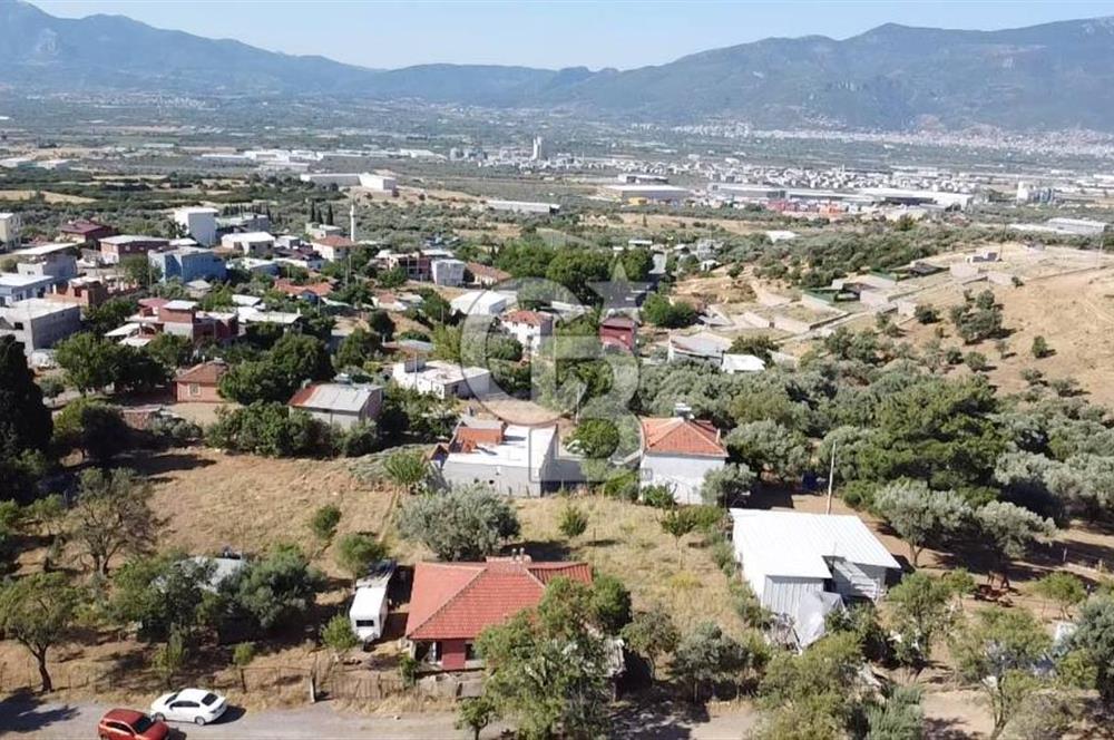 SÜTÇÜLERDE 1083 M2 İÇİNDE 120 M2 MÜSTAKİL YAPILI RIZAİ TAKSİMLİ ZEYTİNLİK 