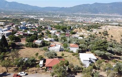 SÜTÇÜLERDE 1083 M2 İÇİNDE 120 M2 MÜSTAKİL YAPILI RIZAİ TAKSİMLİ ZEYTİNLİK 