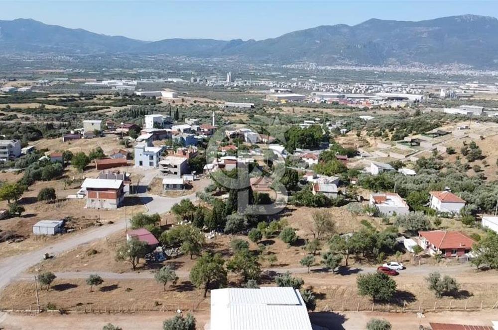 SÜTÇÜLERDE 1083 M2 İÇİNDE 120 M2 MÜSTAKİL YAPILI RIZAİ TAKSİMLİ ZEYTİNLİK 