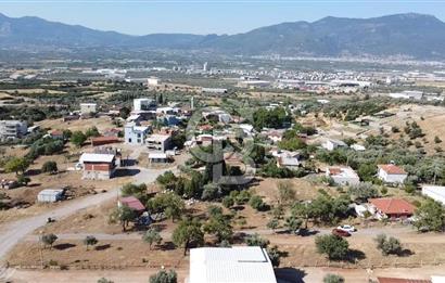 SÜTÇÜLERDE 1083 M2 İÇİNDE 120 M2 MÜSTAKİL YAPILI RIZAİ TAKSİMLİ ZEYTİNLİK 