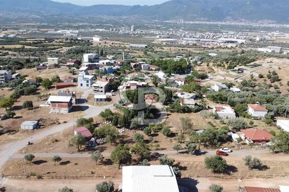 SÜTÇÜLERDE 1083 M2 İÇİNDE 120 M2 MÜSTAKİL YAPILI RIZAİ TAKSİMLİ ZEYTİNLİK 