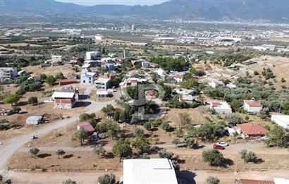 SÜTÇÜLERDE 1083 M2 İÇİNDE 120 M2 MÜSTAKİL YAPILI RIZAİ TAKSİMLİ ZEYTİNLİK 