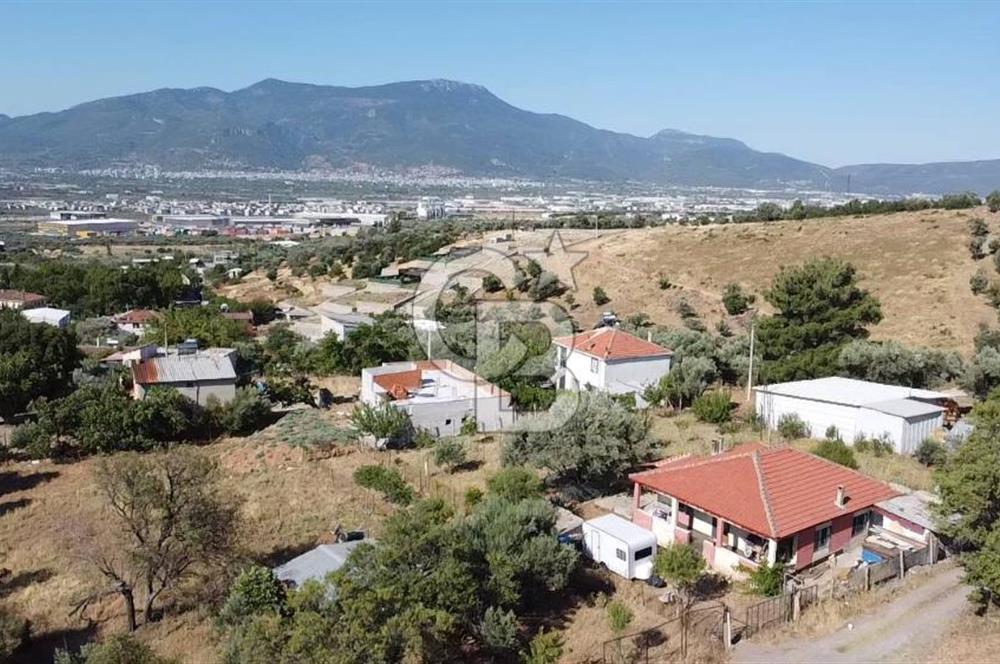 SÜTÇÜLERDE 1083 M2 İÇİNDE 120 M2 MÜSTAKİL YAPILI RIZAİ TAKSİMLİ ZEYTİNLİK 