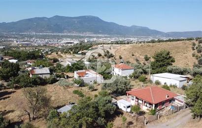 SÜTÇÜLERDE 1083 M2 İÇİNDE 120 M2 MÜSTAKİL YAPILI RIZAİ TAKSİMLİ ZEYTİNLİK 