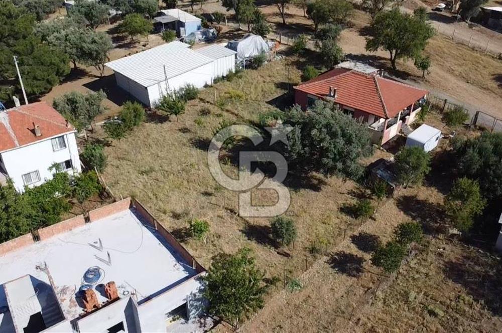 SÜTÇÜLERDE 1083 M2 İÇİNDE 120 M2 MÜSTAKİL YAPILI RIZAİ TAKSİMLİ ZEYTİNLİK 