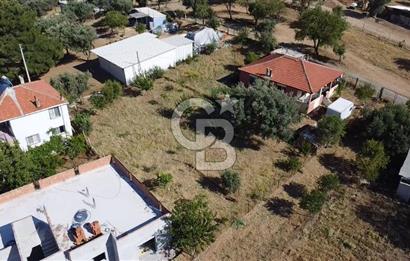 SÜTÇÜLERDE 1083 M2 İÇİNDE 120 M2 MÜSTAKİL YAPILI RIZAİ TAKSİMLİ ZEYTİNLİK 