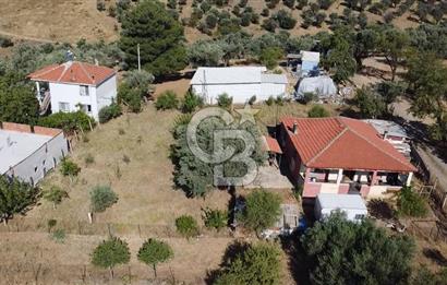 SÜTÇÜLERDE 1083 M2 İÇİNDE 120 M2 MÜSTAKİL YAPILI RIZAİ TAKSİMLİ ZEYTİNLİK 