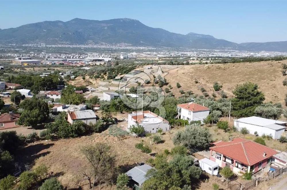 SÜTÇÜLERDE 1083 M2 İÇİNDE 120 M2 MÜSTAKİL YAPILI RIZAİ TAKSİMLİ ZEYTİNLİK 