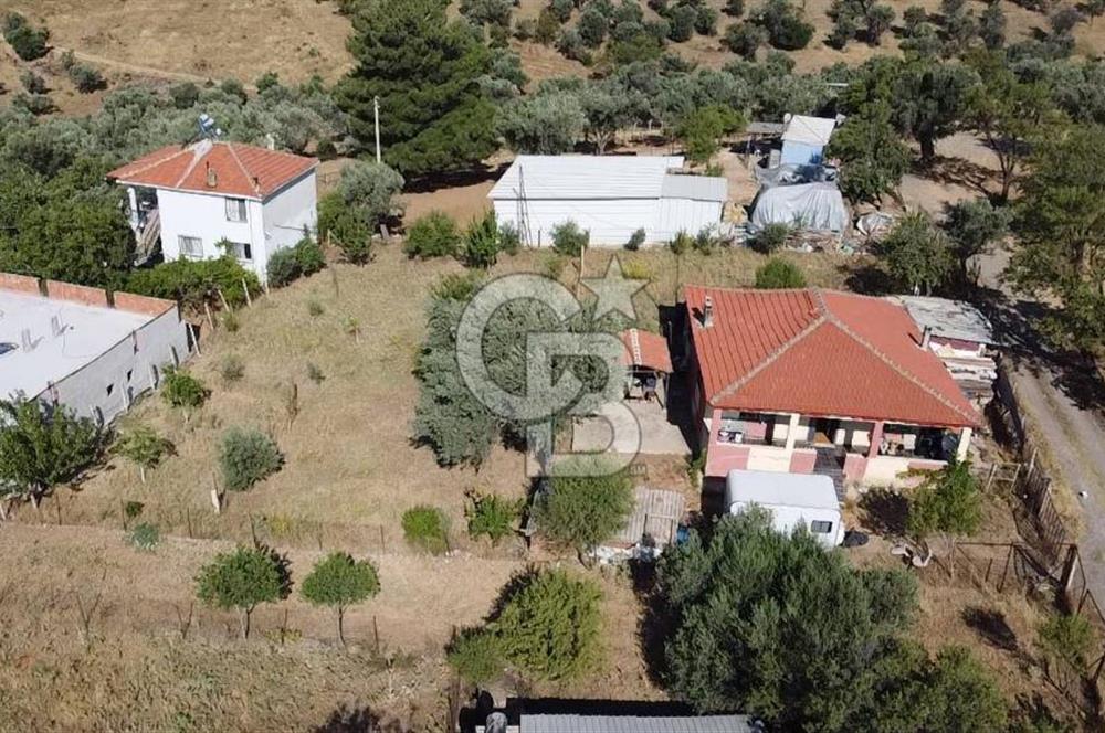 SÜTÇÜLERDE 1083 M2 İÇİNDE 120 M2 MÜSTAKİL YAPILI RIZAİ TAKSİMLİ ZEYTİNLİK 