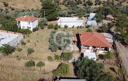 SÜTÇÜLERDE 1083 M2 İÇİNDE 120 M2 MÜSTAKİL YAPILI RIZAİ TAKSİMLİ ZEYTİNLİK 