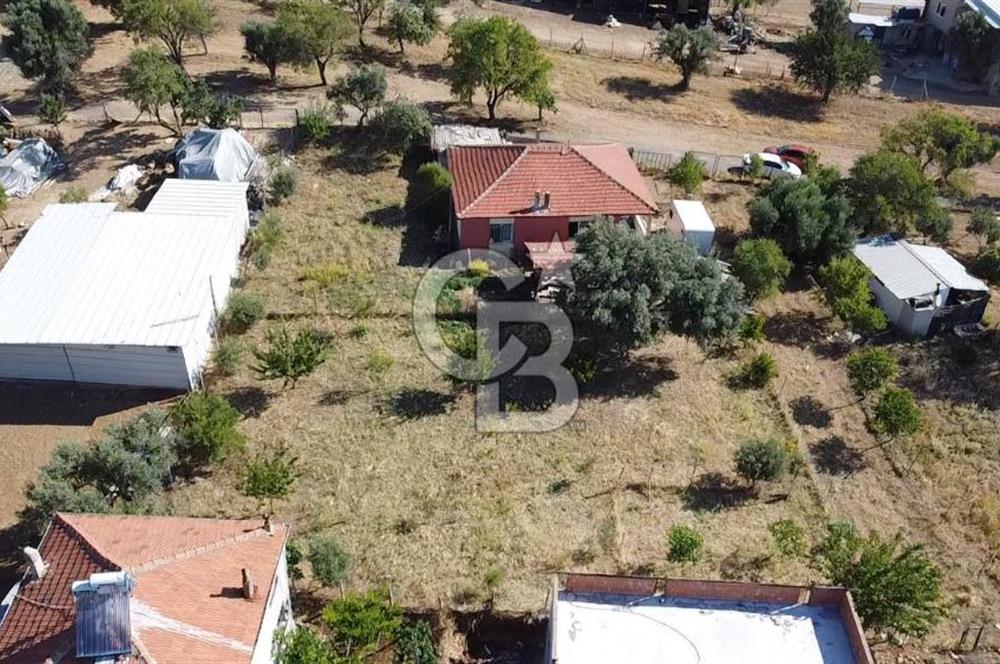 SÜTÇÜLERDE 1083 M2 İÇİNDE 120 M2 MÜSTAKİL YAPILI RIZAİ TAKSİMLİ ZEYTİNLİK 