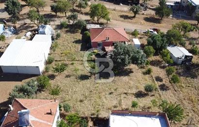 SÜTÇÜLERDE 1083 M2 İÇİNDE 120 M2 MÜSTAKİL YAPILI RIZAİ TAKSİMLİ ZEYTİNLİK 