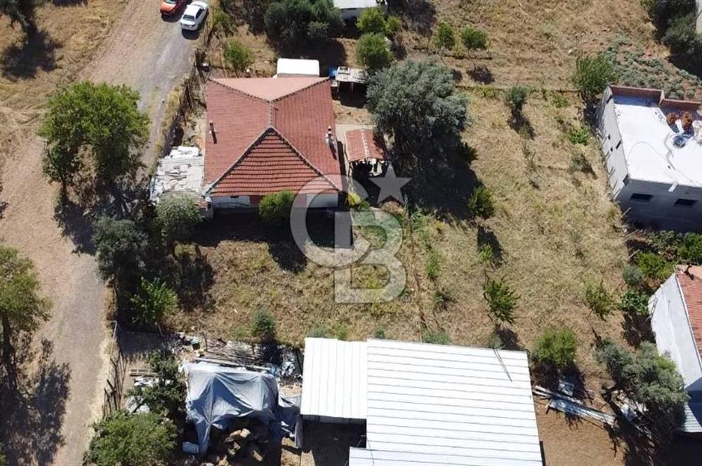 SÜTÇÜLERDE 1083 M2 İÇİNDE 120 M2 MÜSTAKİL YAPILI RIZAİ TAKSİMLİ ZEYTİNLİK 