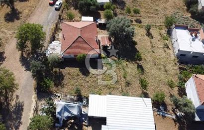 SÜTÇÜLERDE 1083 M2 İÇİNDE 120 M2 MÜSTAKİL YAPILI RIZAİ TAKSİMLİ ZEYTİNLİK 