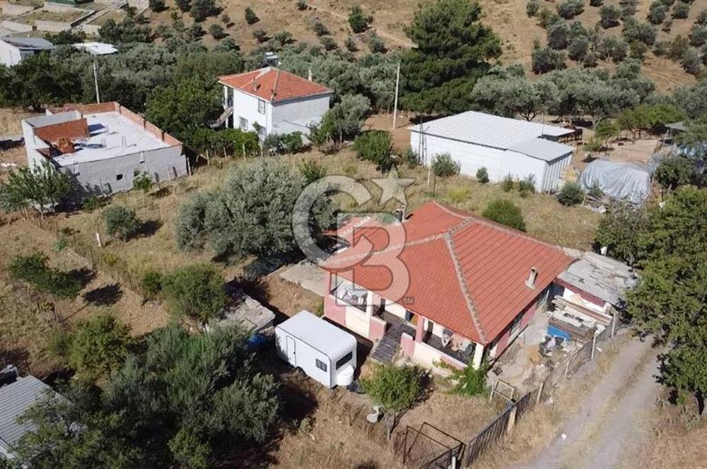 SÜTÇÜLERDE 1083 M2 İÇİNDE 120 M2 MÜSTAKİL YAPILI RIZAİ TAKSİMLİ ZEYTİNLİK 