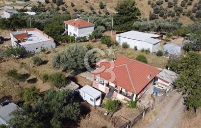 SÜTÇÜLERDE 1083 M2 İÇİNDE 120 M2 MÜSTAKİL YAPILI RIZAİ TAKSİMLİ ZEYTİNLİK 