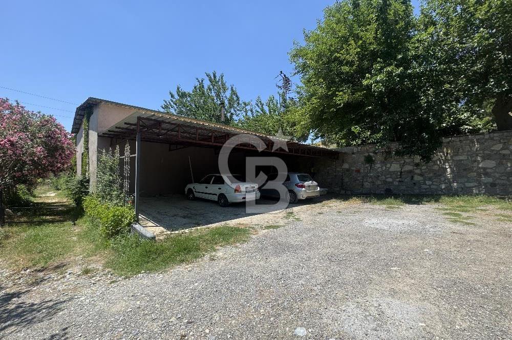 Kuşadası Yaylaköy'de 39 Dönüm Üretime Hazır Tarla
