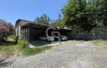 Kuşadası Yaylaköy'de 39 Dönüm Üretime Hazır Tarla