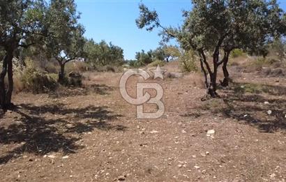 Foça Gerenköy'de Satılık 584 m2 Tarla