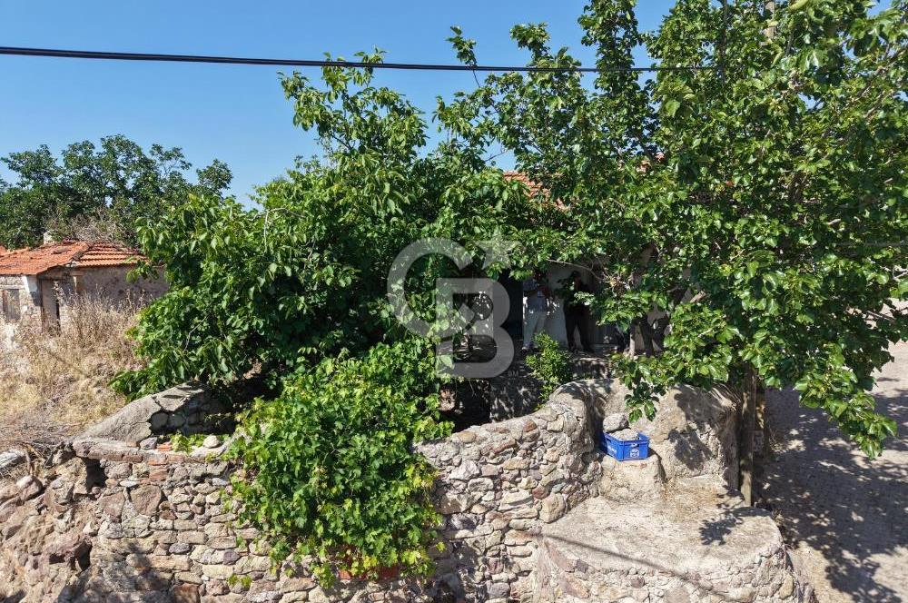 AYVALIK BULUTÇEŞME KÖYÜ'NDE KUYULU 130 m2 ARSALI KÖY EVİ