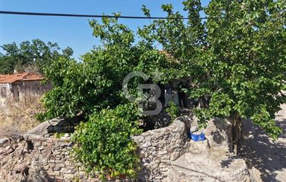 AYVALIK BULUTÇEŞME KÖYÜ'NDE KUYULU 130 m2 ARSALI KÖY EVİ