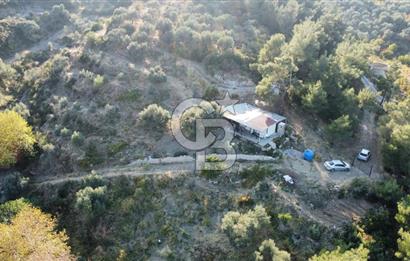 İZMİR KEMALPAŞA ÖREN'DE SATILIK 9392M2 ZEYTİNLİK VE HAZIR YAŞAM ALANI