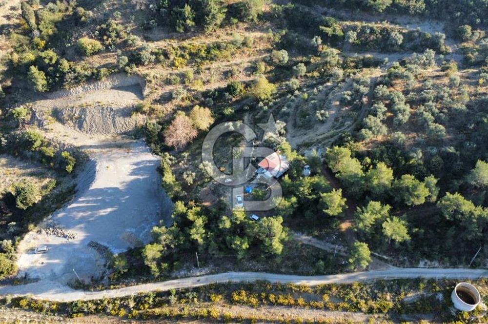 İZMİR KEMALPAŞA ÖREN'DE SATILIK 9392M2 ZEYTİNLİK VE HAZIR YAŞAM ALANI