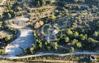 İZMİR KEMALPAŞA ÖREN'DE SATILIK 9392M2 ZEYTİNLİK VE HAZIR YAŞAM ALANI