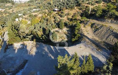İZMİR KEMALPAŞA ÖREN'DE SATILIK 9392M2 ZEYTİNLİK VE HAZIR YAŞAM ALANI