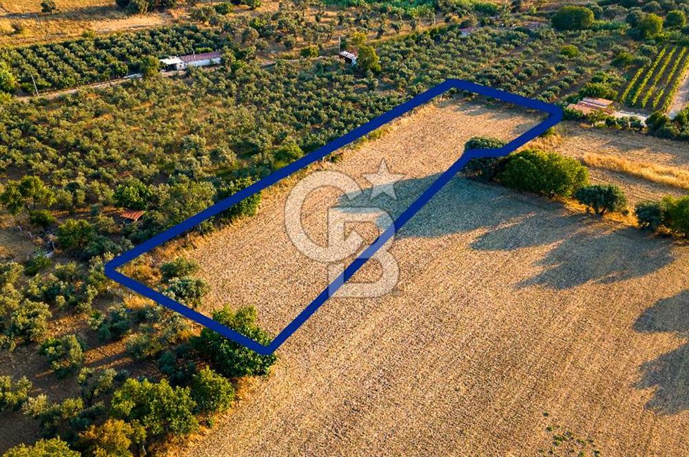 Foça Kozbeyli'de Satılık Tarla