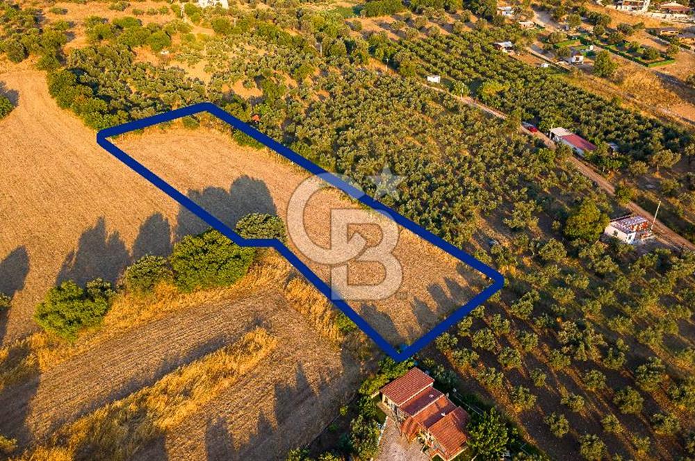 Foça Kozbeyli'de Satılık Tarla
