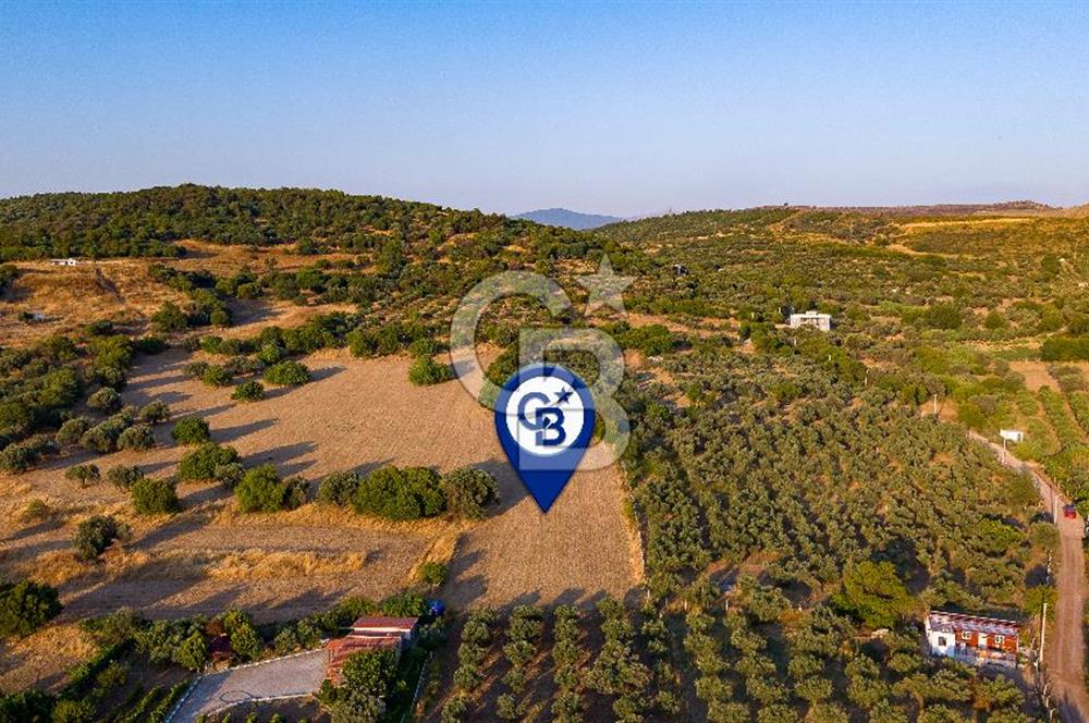 Foça Kozbeyli'de Satılık Tarla